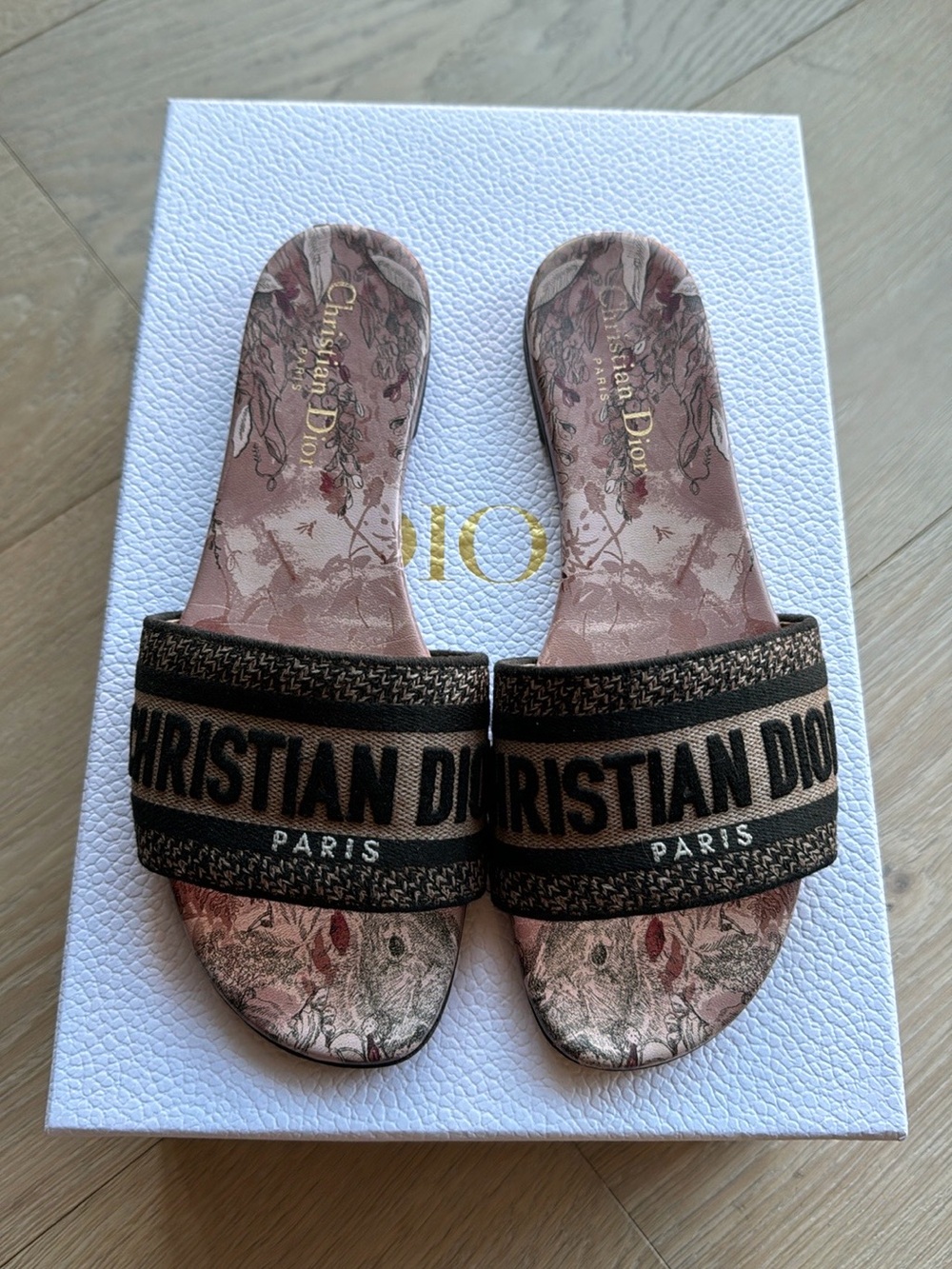 Dior Dway logo slides